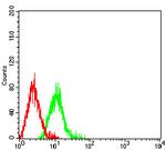 CD46 Antibody in Flow Cytometry (Flow)