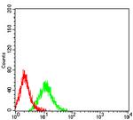 CHRM3 Antibody in Flow Cytometry (Flow)