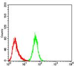 DDX3 Antibody in Flow Cytometry (Flow)