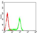 FGL1 Antibody in Flow Cytometry (Flow)