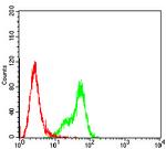 GSTP1 Antibody in Flow Cytometry (Flow)