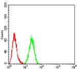 HDAC4 Antibody in Flow Cytometry (Flow)