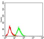 IRAK-M Antibody in Flow Cytometry (Flow)