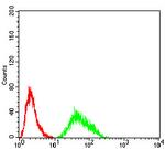 KDM6A Antibody in Flow Cytometry (Flow)