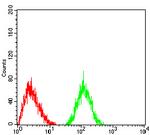 LRP4 Antibody in Flow Cytometry (Flow)