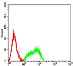 LRP8 Antibody in Flow Cytometry (Flow)