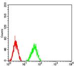 MMP14 Antibody in Flow Cytometry (Flow)