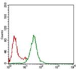 NBS1 Antibody in Flow Cytometry (Flow)