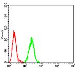 Neuropilin 1 Antibody in Flow Cytometry (Flow)