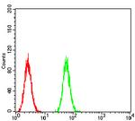 P2Y13 Antibody in Flow Cytometry (Flow)