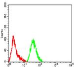 PCK2 Antibody in Flow Cytometry (Flow)