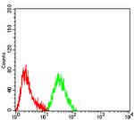 PIK3R4 Antibody in Flow Cytometry (Flow)