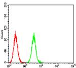 PLCG2 Antibody in Flow Cytometry (Flow)