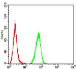 NOXA Antibody in Flow Cytometry (Flow)