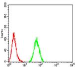 PMS2 Antibody in Flow Cytometry (Flow)