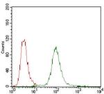 DARPP-32 Antibody in Flow Cytometry (Flow)