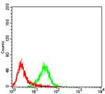 SHP-1 Antibody in Flow Cytometry (Flow)