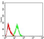 PYCARD Antibody in Flow Cytometry (Flow)