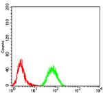 RAD18 Antibody in Flow Cytometry (Flow)