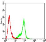 SPA17 Antibody in Flow Cytometry (Flow)