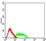 SSTR2 Antibody in Flow Cytometry (Flow)