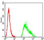 TET2 Antibody in Flow Cytometry (Flow)