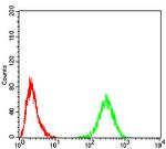 Tyrosine Hydroxylase Antibody in Flow Cytometry (Flow)