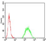 TIP60 Antibody in Flow Cytometry (Flow)