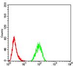 TRAF2 Antibody in Flow Cytometry (Flow)