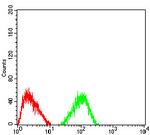 TRAF2 Antibody in Flow Cytometry (Flow)