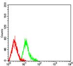 TRIM29 Antibody in Flow Cytometry (Flow)