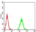 UHRF1 Antibody in Flow Cytometry (Flow)