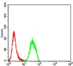 ULBP1 Antibody in Flow Cytometry (Flow)