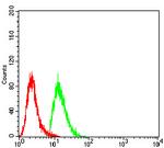 WTAP Antibody in Flow Cytometry (Flow)