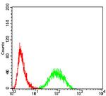 14-3-3 beta Antibody in Flow Cytometry (Flow)