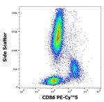 CD86 Antibody in Flow Cytometry (Flow)