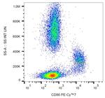 CD86 Antibody in Flow Cytometry (Flow)