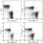 CD16 Antibody in Flow Cytometry (Flow)