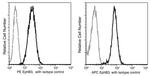 EphB3 Antibody in Flow Cytometry (Flow)