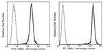 GBA3 Antibody in Flow Cytometry (Flow)