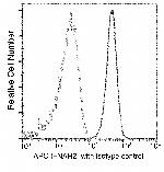 IFNAR2 Antibody in Flow Cytometry (Flow)