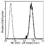 SOD1 Antibody in Flow Cytometry (Flow)