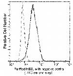 Nestin Antibody in Flow Cytometry (Flow)