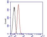 SV2B Antibody in Flow Cytometry (Flow)