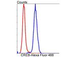 CREB Antibody in Flow Cytometry (Flow)