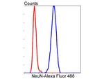 NeuN Antibody in Flow Cytometry (Flow)