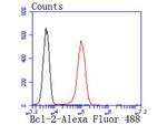 Bcl-2 Antibody in Flow Cytometry (Flow)