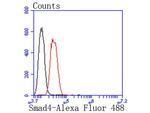 SMAD4 Antibody in Flow Cytometry (Flow)