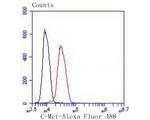 c-Met Antibody in Flow Cytometry (Flow)