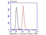 MSI1 Antibody in Flow Cytometry (Flow)